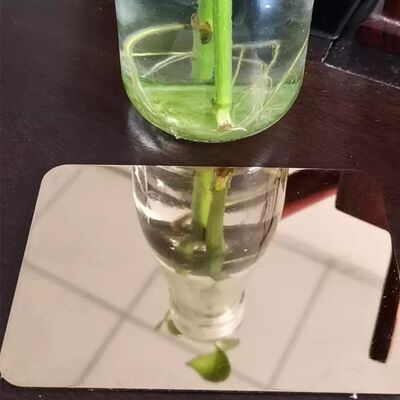 खरीदें बीए 2बी 8K एचएल सतह के साथ दीवार छिद्रण के लिए गर्म लुढ़का 316 स्टेनलेस स्टील शीट ऑनलाइन निर्माण